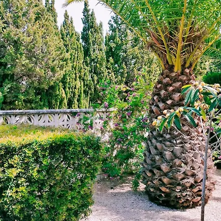 El Palmar With 3 Bedrooms Close To The Denia